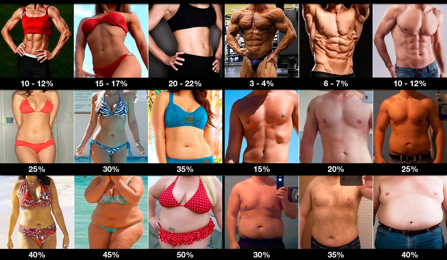 Фото женщин и мужчин с разным процентом жира в организме