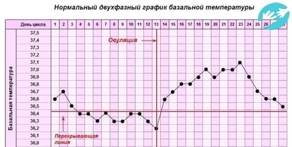 Полезные советы для тех кто хочет забеременеть