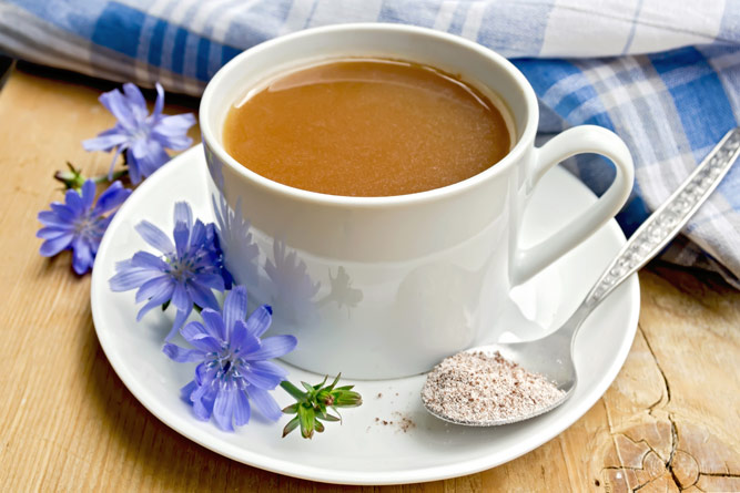 Корень цикория - отличный заменитель кофе, который лечит диабет, запор и остеоартрит