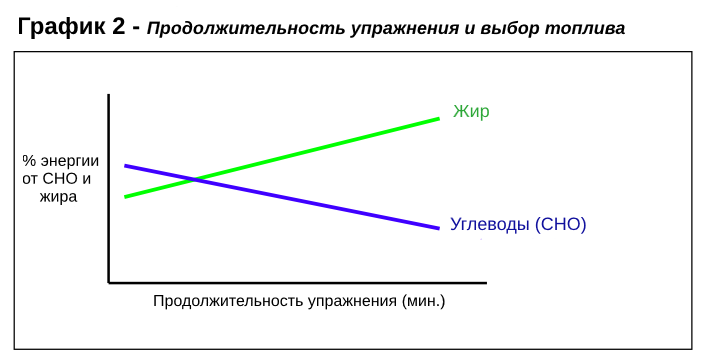 Хорошие кардио упражнения для похудения