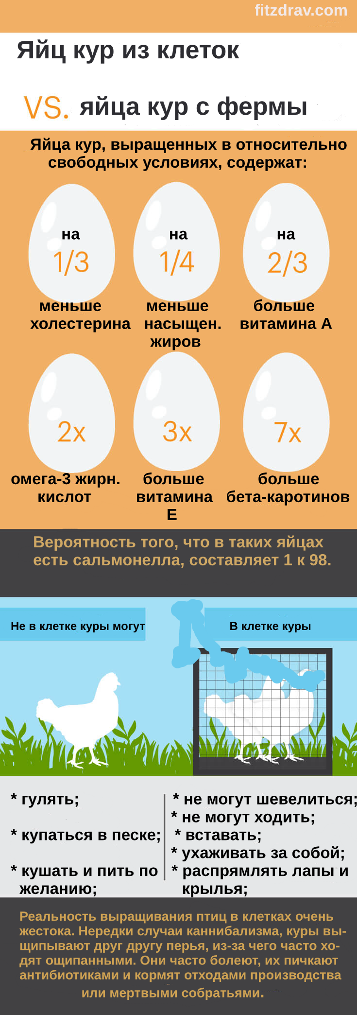 Какие свойства у яиц