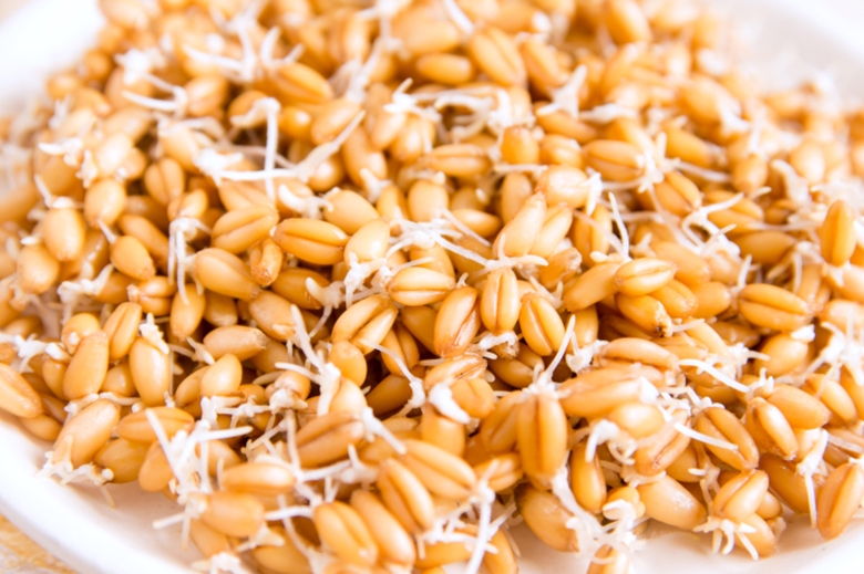 цинк в зародышах пшеницы