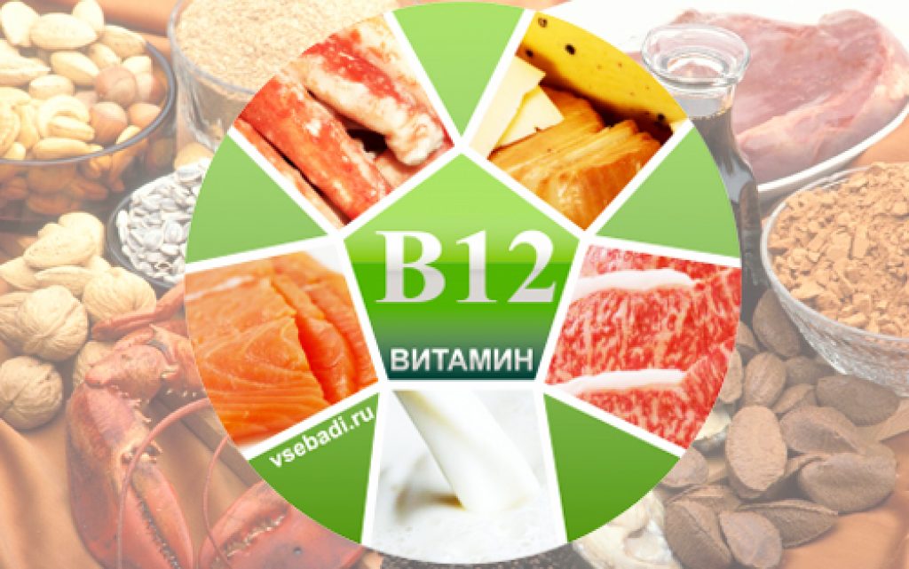 Vitamina b12 de donde viene