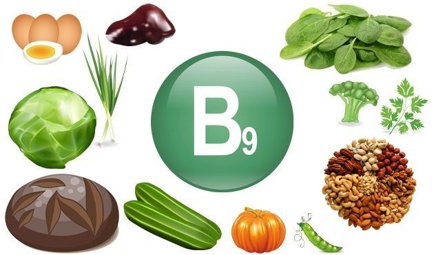 Витамин B9 в продуктах питания
