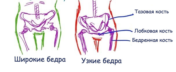 Как уменьшить бедра комплекс упражнений