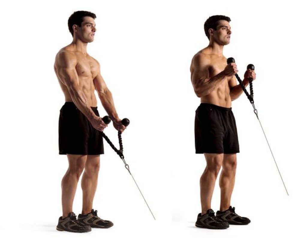 Cable Hammer Curls