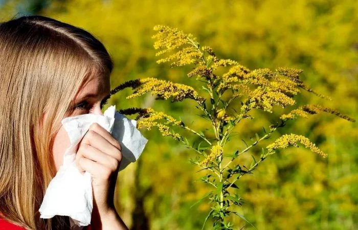 Аллергия на пыльцу