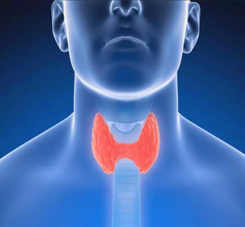 Заболевания связанные с нарушением функций щитовидной железы. Здоровье щитовидной железы. Щитовидная железа у мужчин.